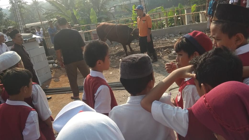 Qurban di SDIT Assalamah Depok